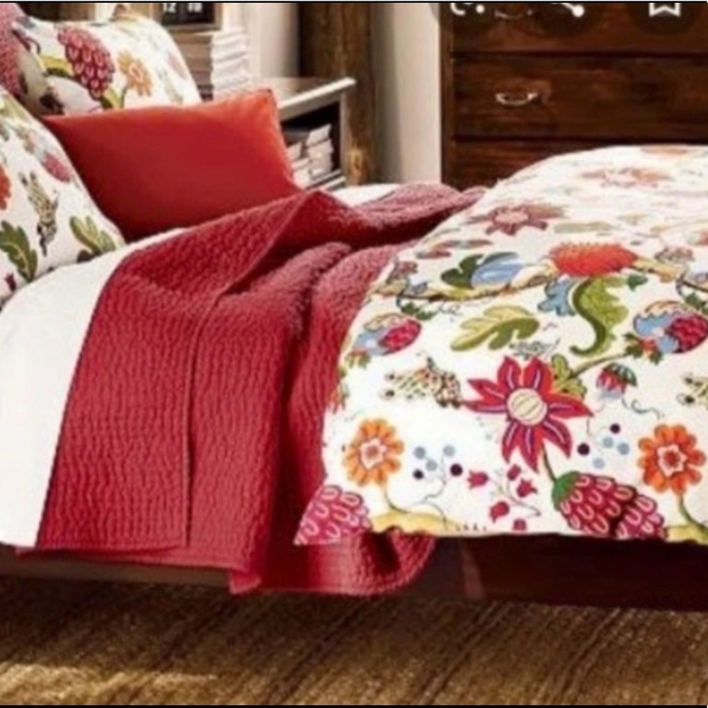 Pottery Barn Serafina Twin Duvet set